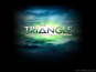 [The Triangle Logo (previous version)]